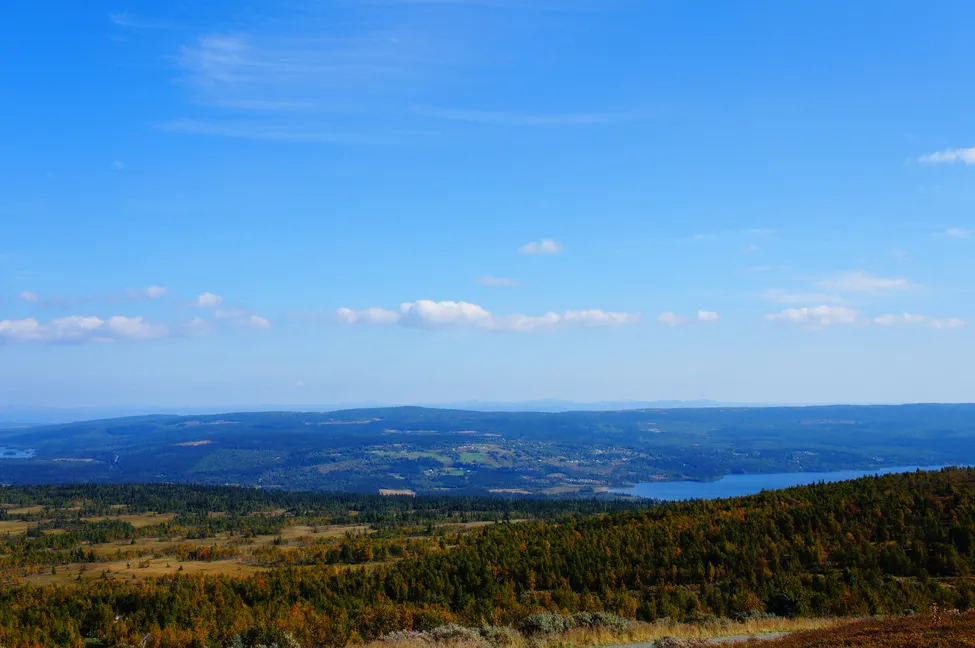 Klicka för att förstora