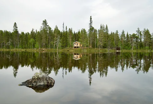 Ny vandringsled i storslagen urskog