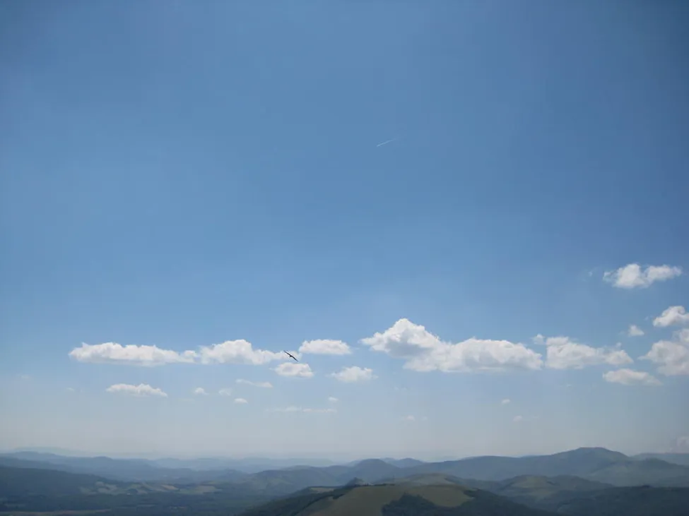 Klicka för att förstora