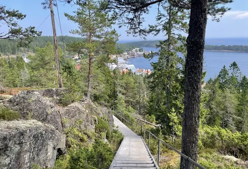 Härlig låglandsvandring: 10 nya svenska leder att utforska