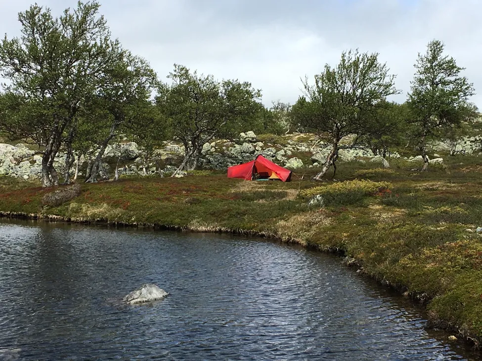Klicka för att förstora