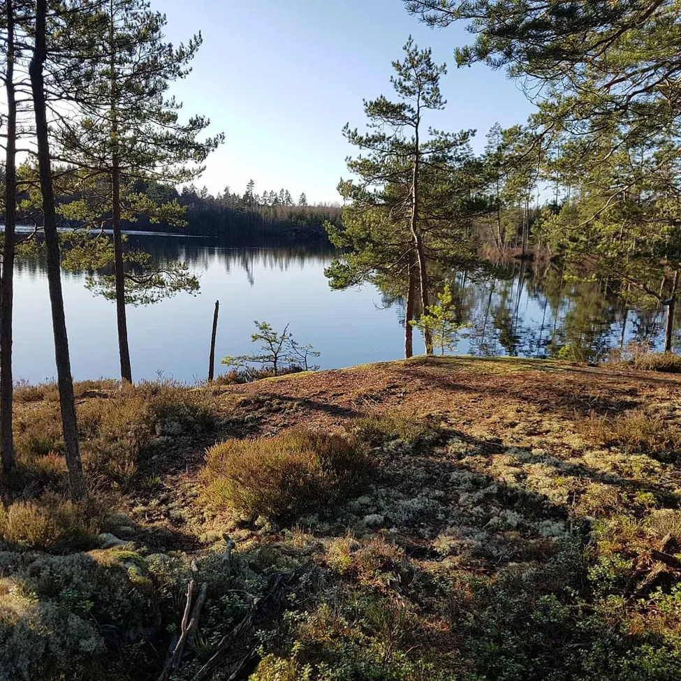 Klicka för att förstora