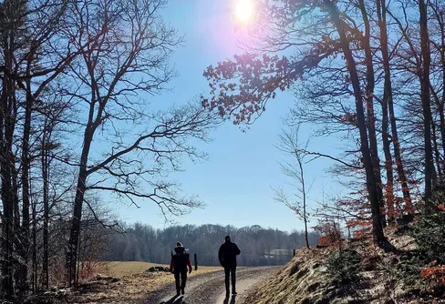 Sova under Karlavagnen