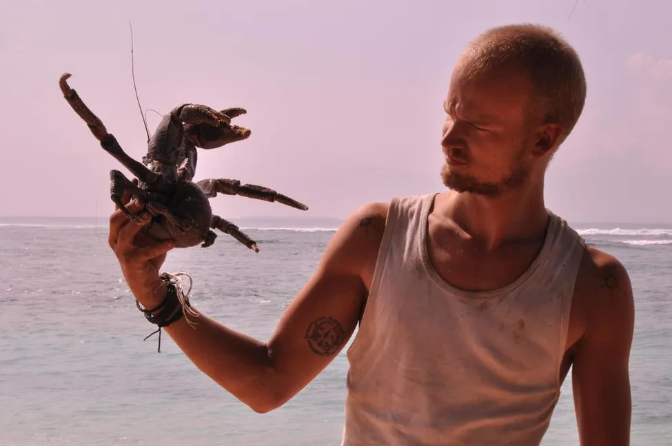 Klicka för att förstora