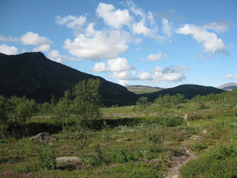 Klicka för att förstora