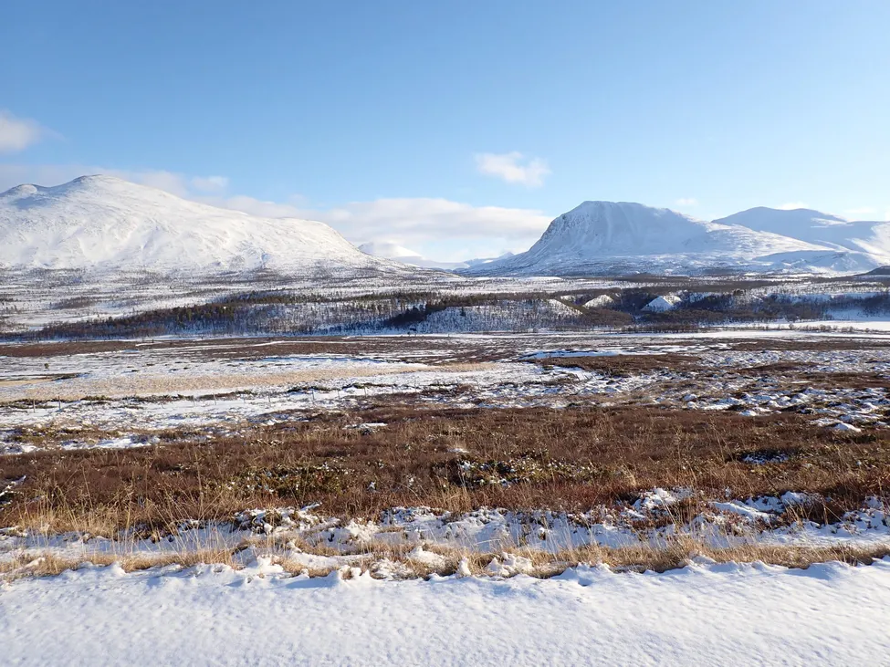 Klicka för att förstora