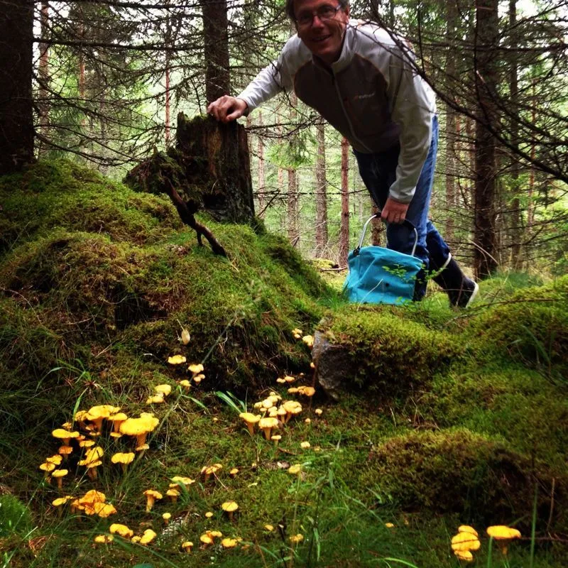 Klicka för att förstora