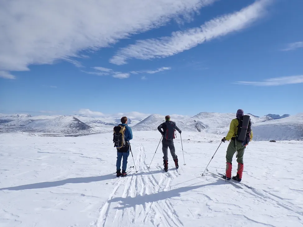 Klicka för att förstora