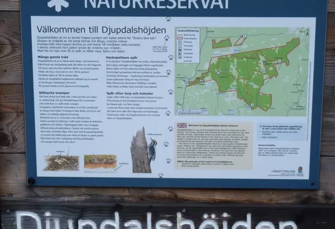 Helgdagskväll i timmerkojan