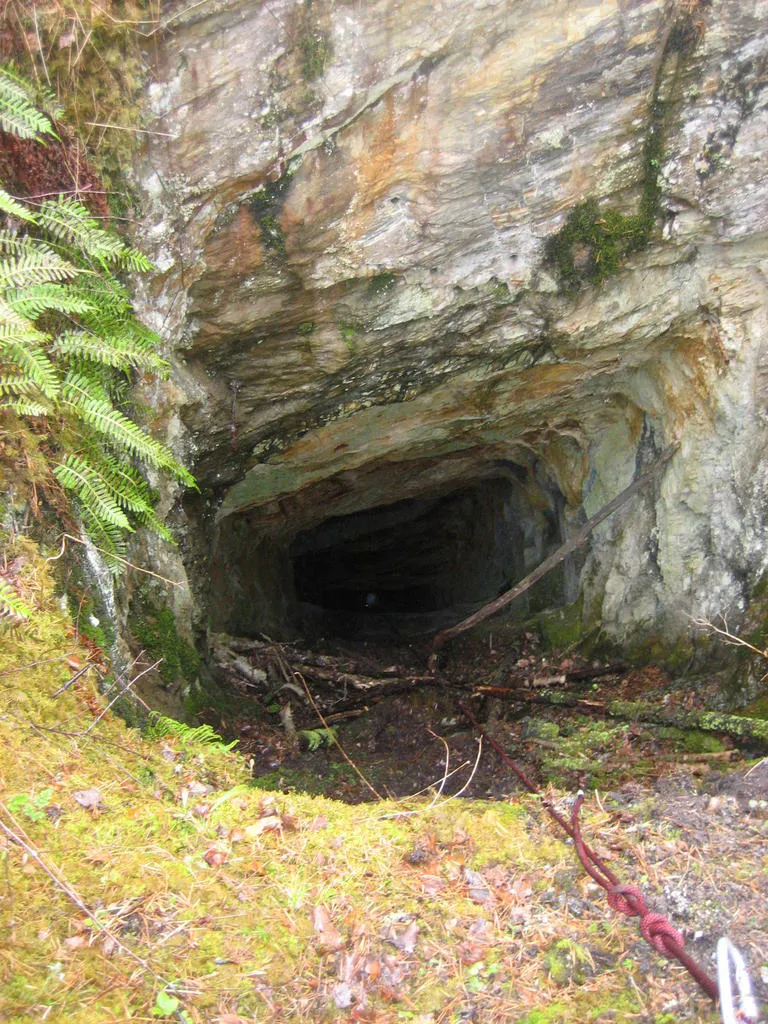 Klicka för att förstora