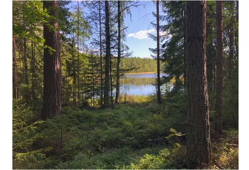 Klimatförändringar och biologisk mångfald hänger ihop