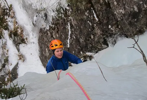 Från skånska träd till Juvsöyla