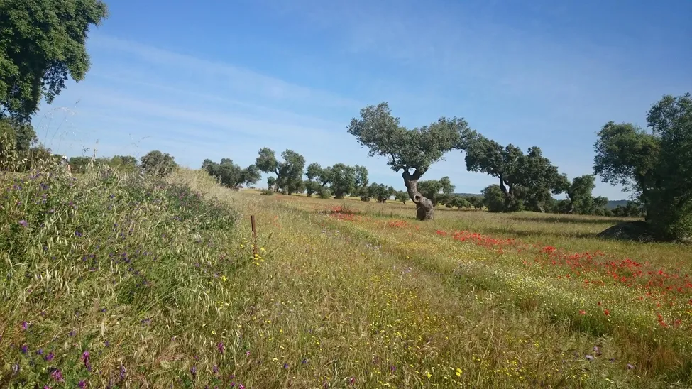 Klicka för att förstora