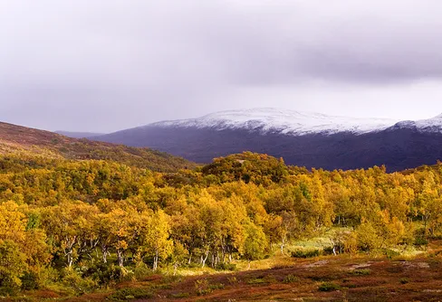 En sista suck av sommar, friska andetag av höst.
