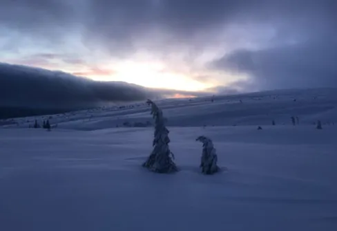 Vintertur på Fulufjället