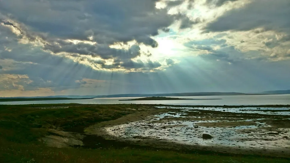 Klicka för att förstora