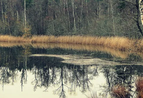 Det här var riktigt jobbigt (men kul)