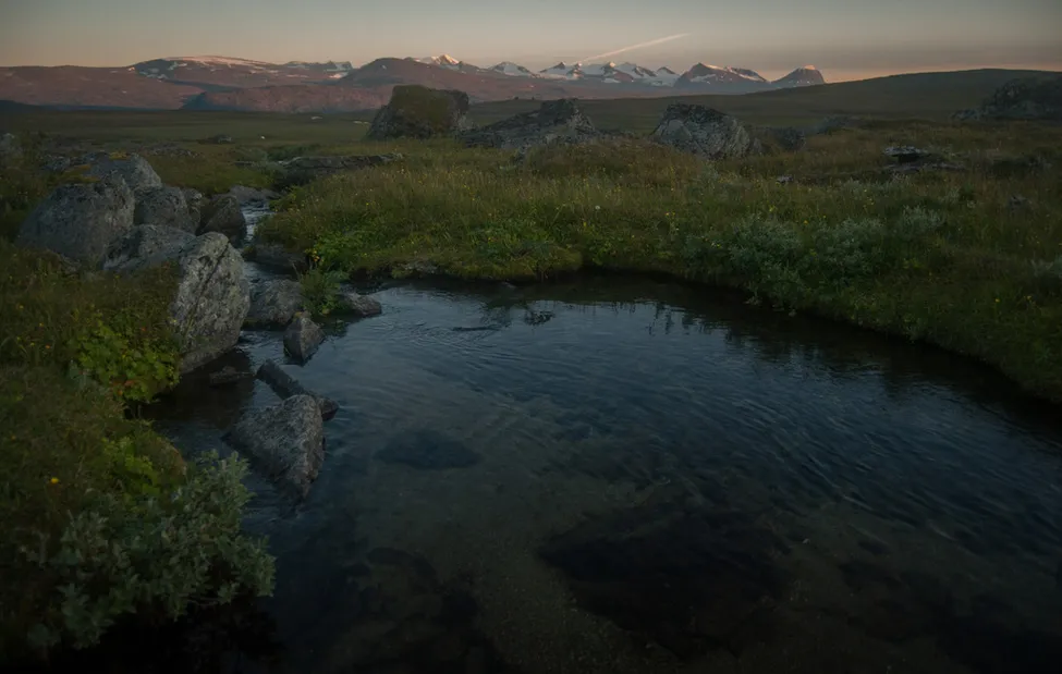 Klicka för att förstora