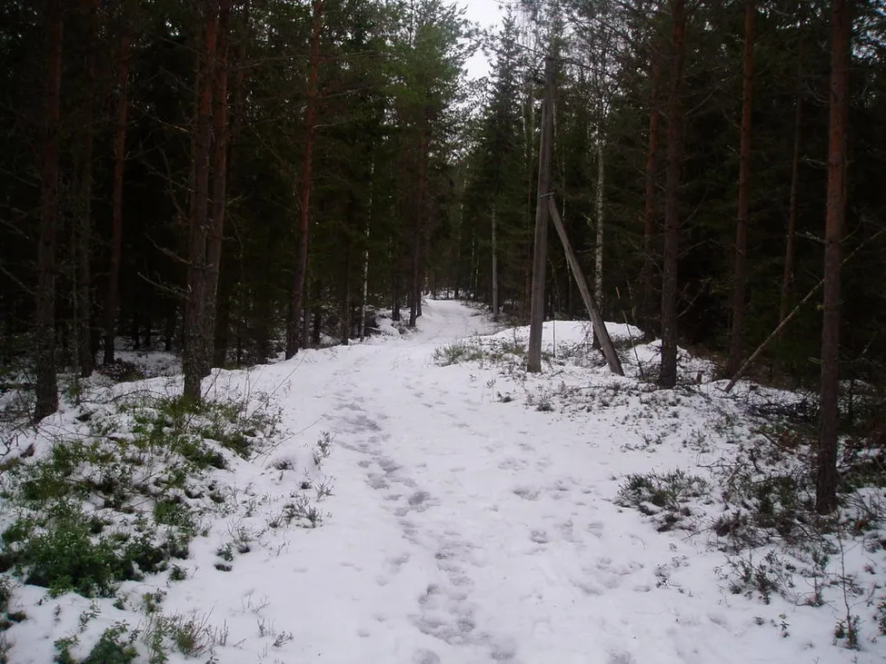 Klicka för att förstora