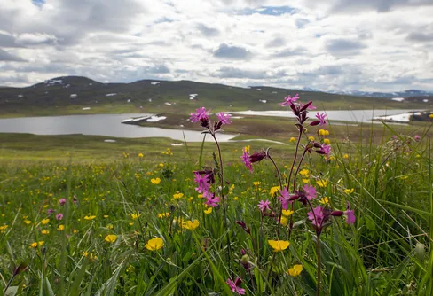 Från Stalo till Vájsá - den långa vägen