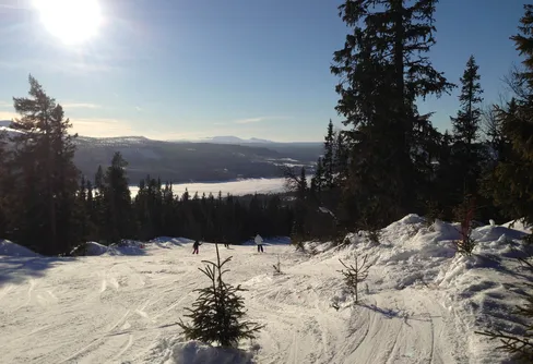 Sugen på skidåkning?