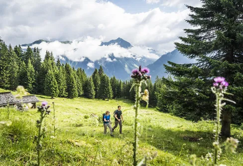 Wanderung Alpe Ganera