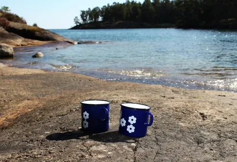 Utnäset - en rehabvandring med höga naturvärden