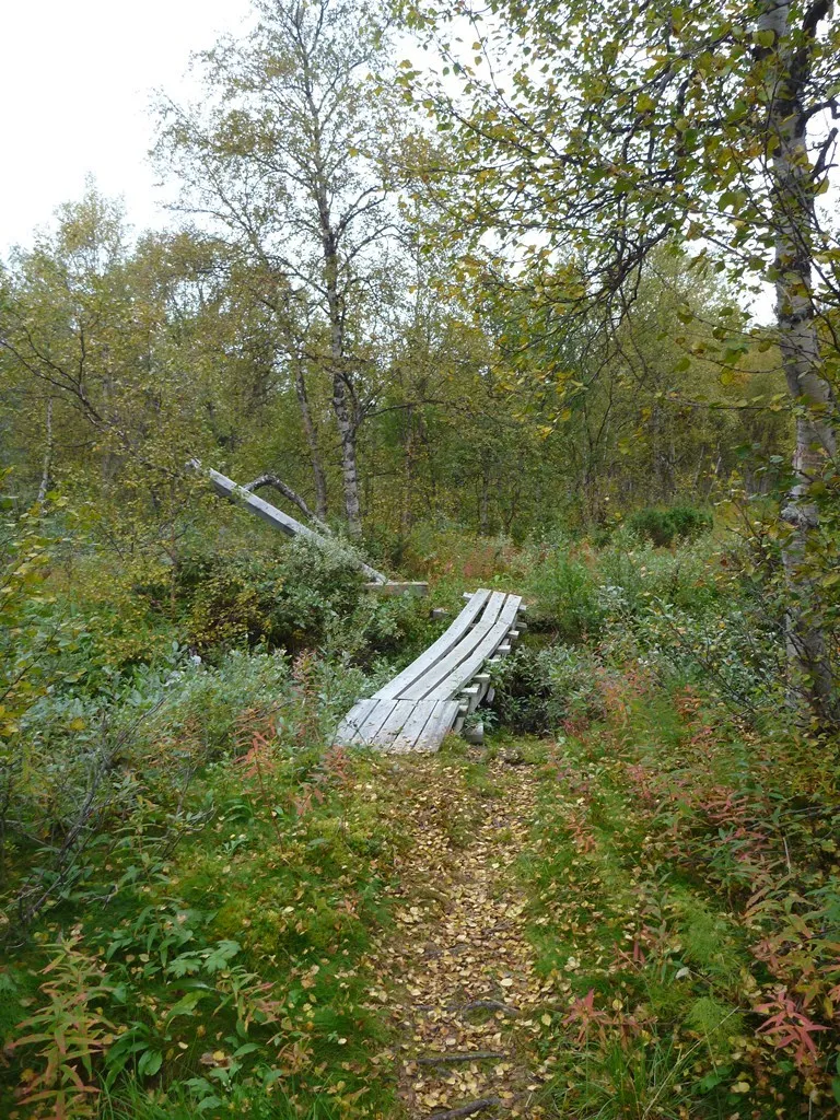 Klicka för att förstora