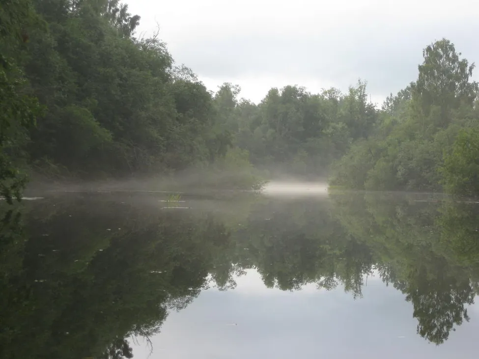 Klicka för att förstora