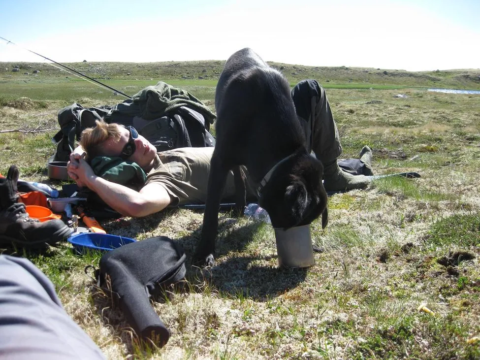 Klicka för att förstora