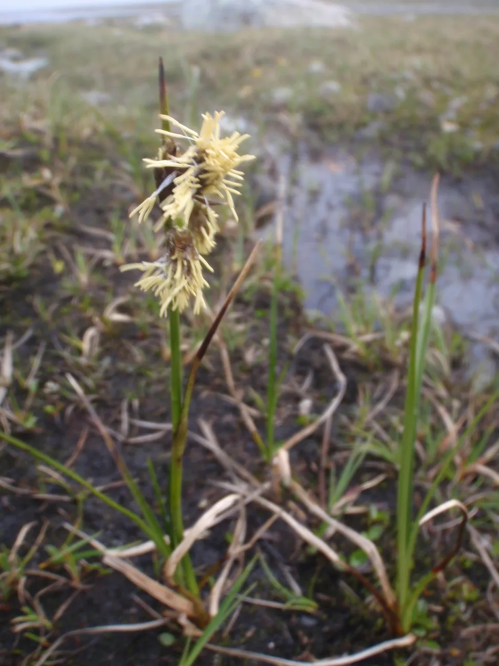 Klicka för att förstora