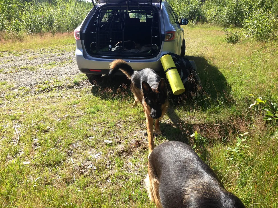 Klicka för att förstora
