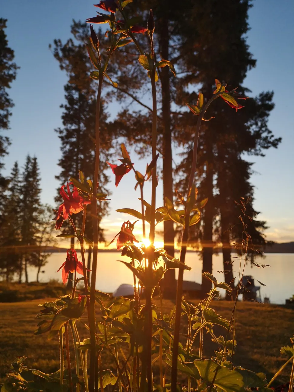 Klicka för att förstora