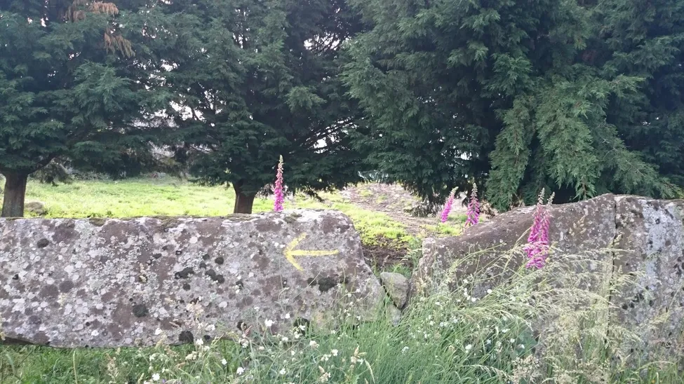 Klicka för att förstora