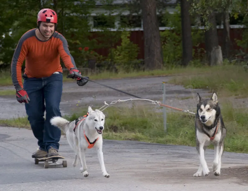 Klicka för att förstora