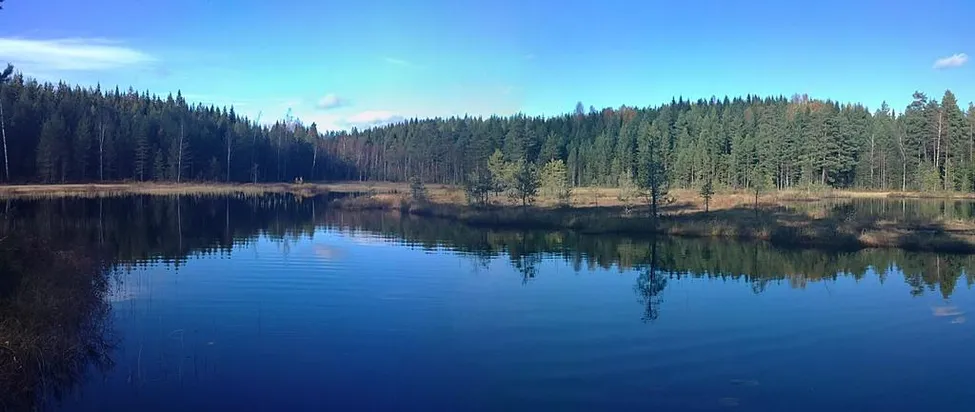 Klicka för att förstora