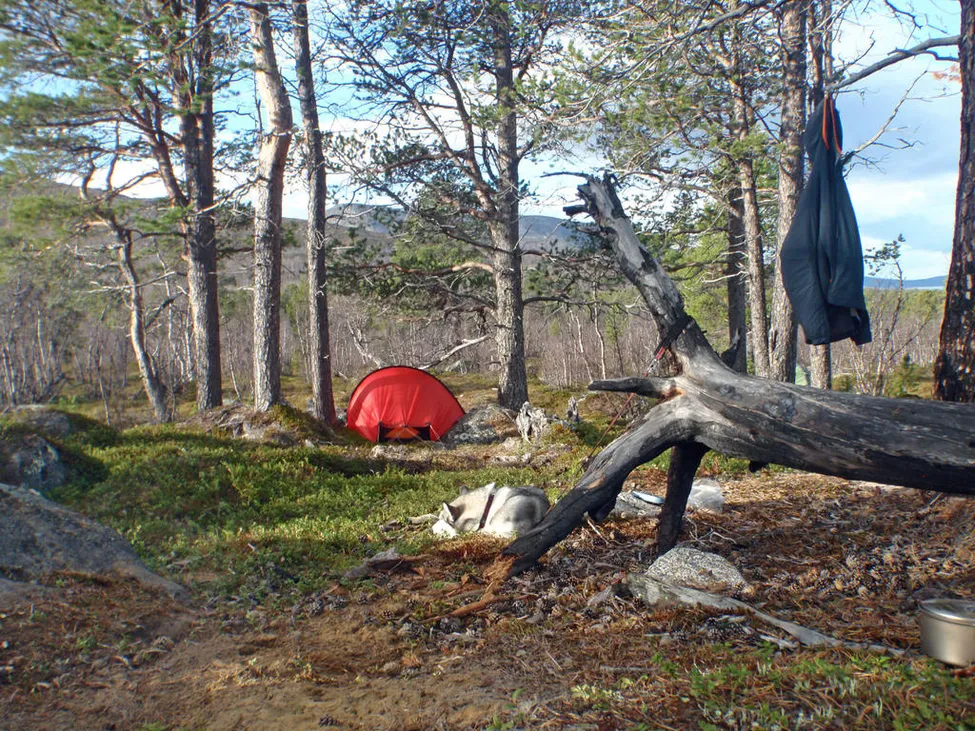 Klicka för att förstora