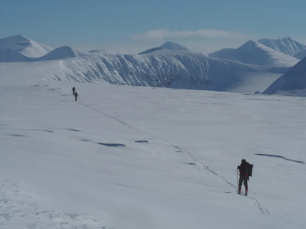 Klicka för att förstora