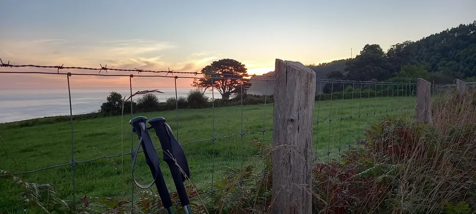 Klicka för att förstora