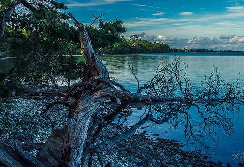 Gotland - En resa i augusti