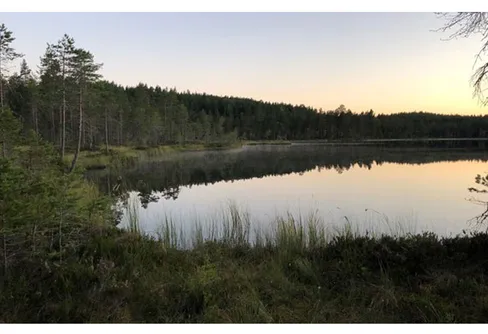 Naturen extra viktig under pandemin