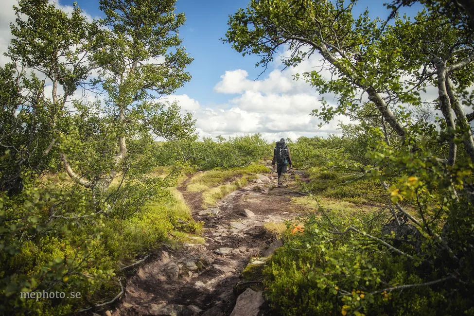 Klicka för att förstora