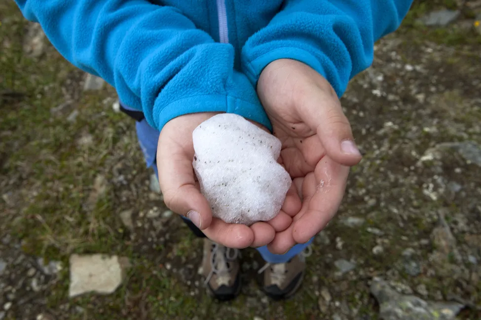 Klicka för att förstora