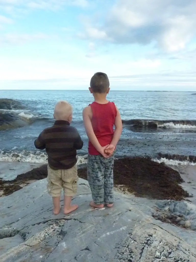 Klicka för att förstora