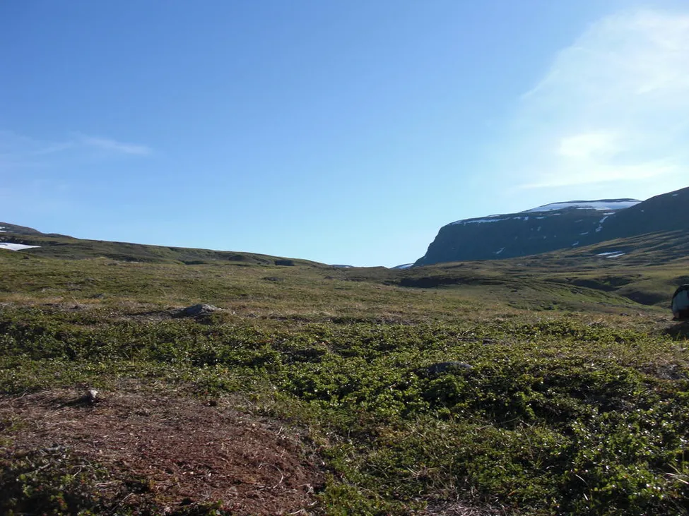 Klicka för att förstora