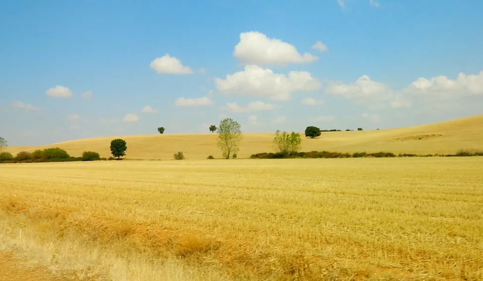 Klicka för att förstora