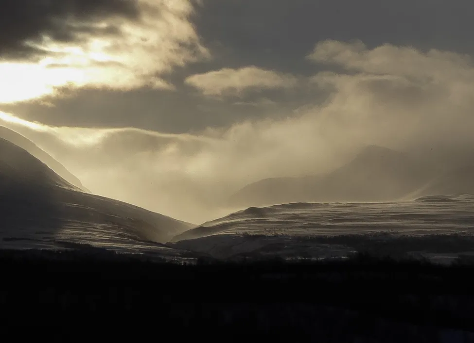 Klicka för att förstora