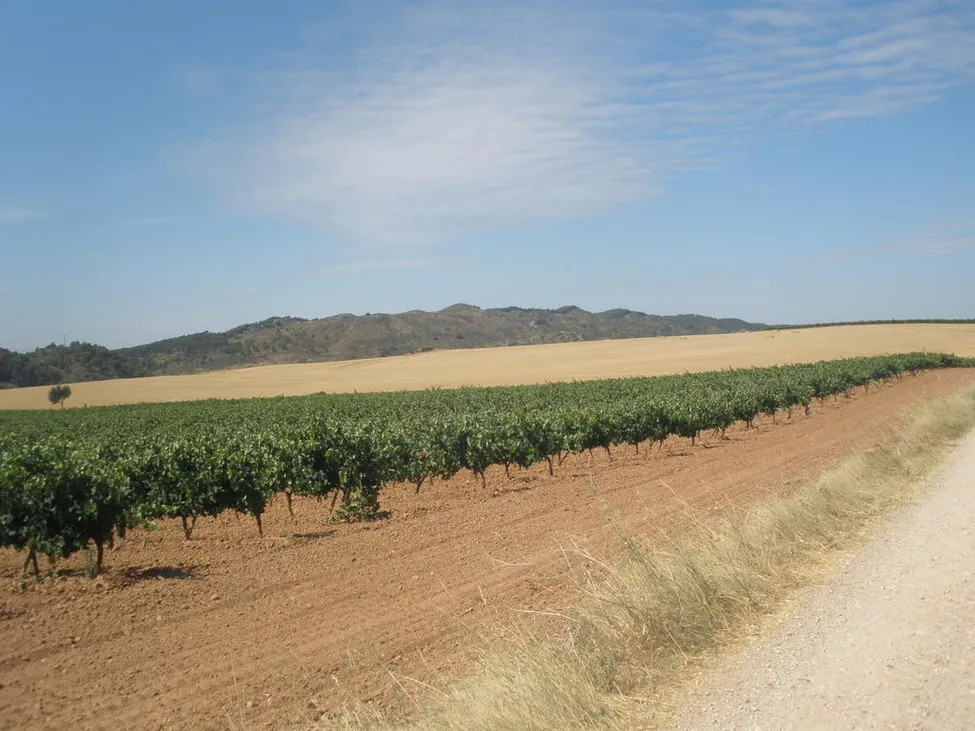 Klicka för att förstora