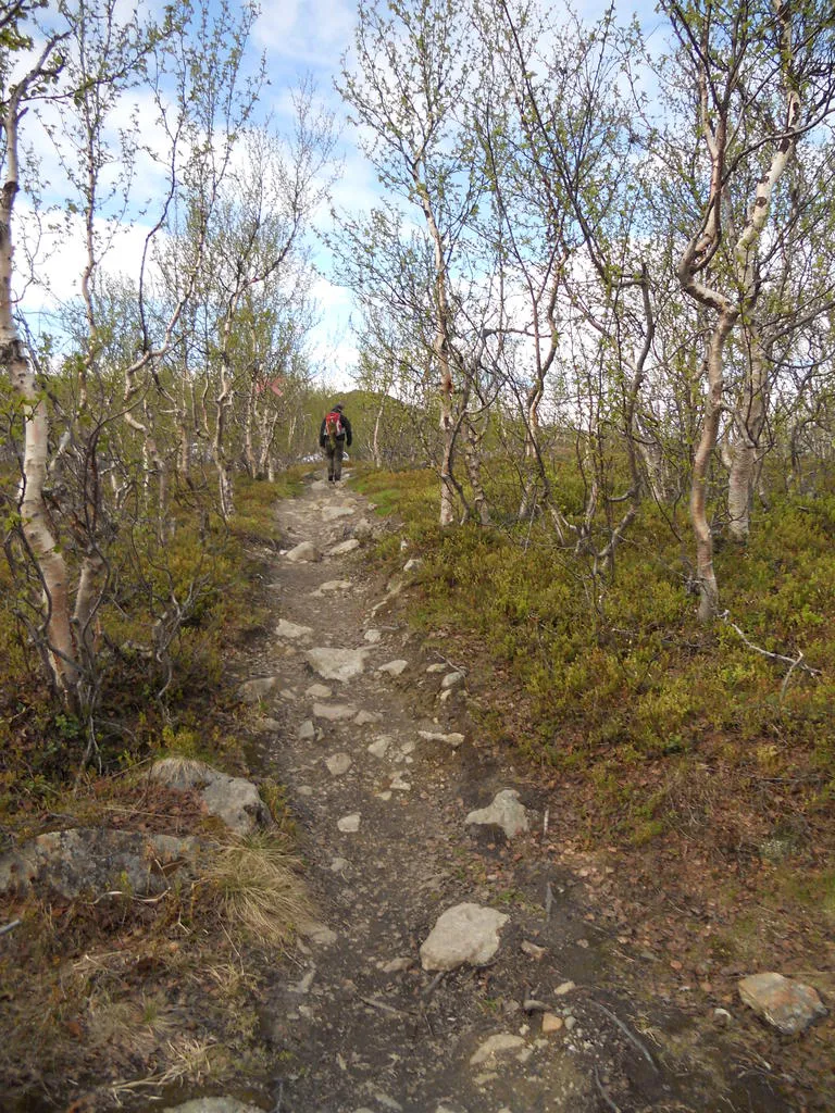 Klicka för att förstora