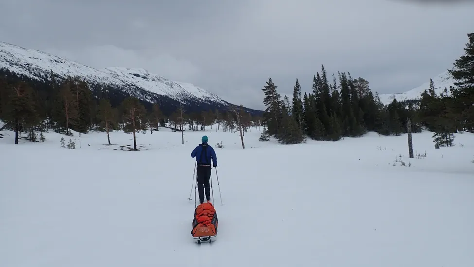 Klicka för att förstora